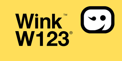 Men's Wink W123